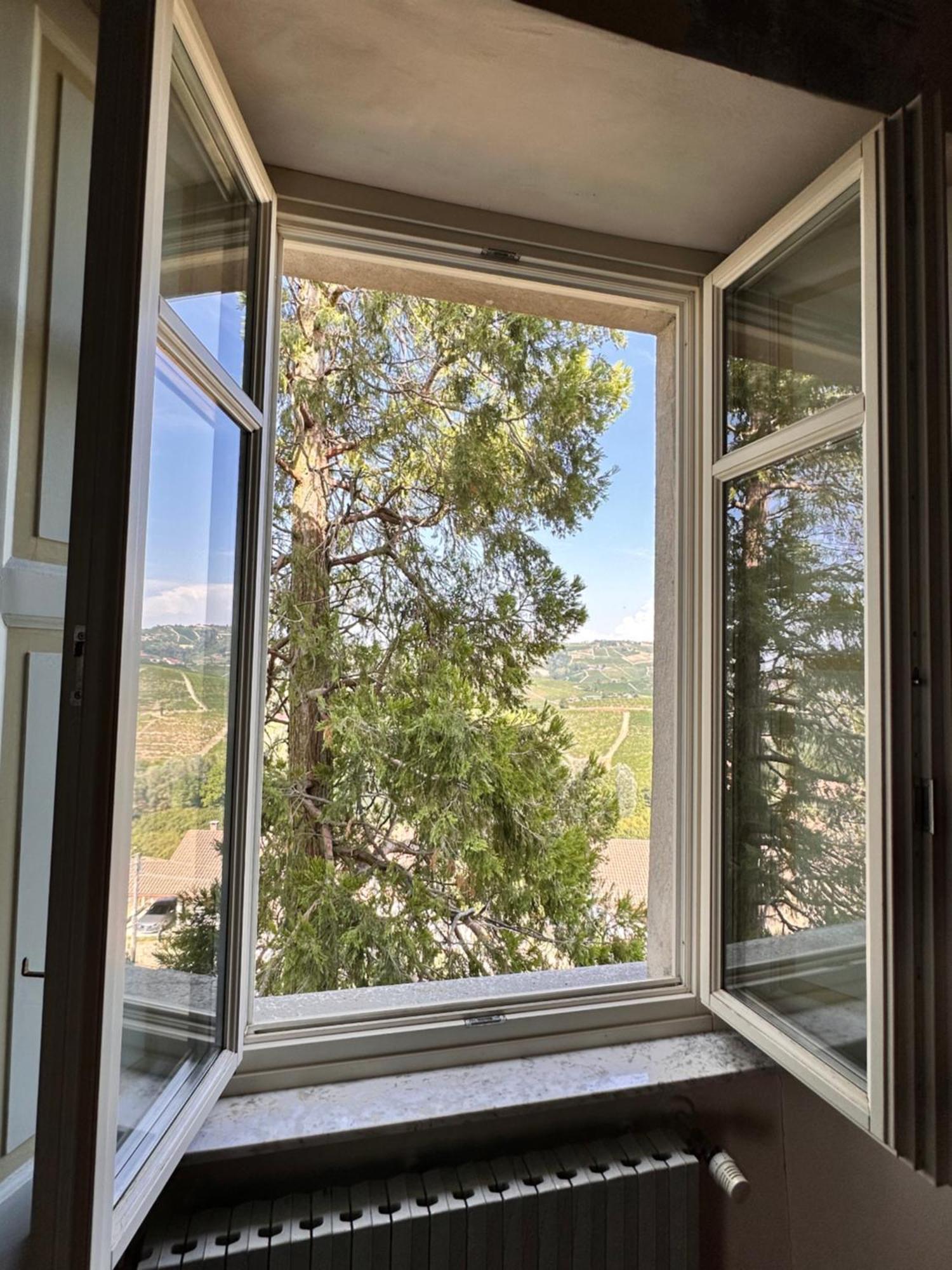 Castello Di Coazzolo Bed & Breakfast Neive Luaran gambar